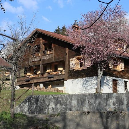 Sous Les Ecotagnes Villa Les Villards-sur-Thones Exterior photo