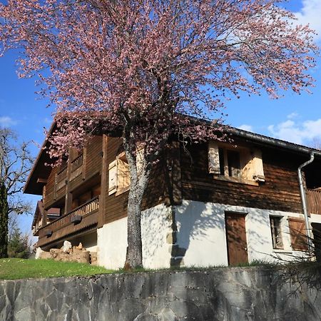 Sous Les Ecotagnes Villa Les Villards-sur-Thones Exterior photo