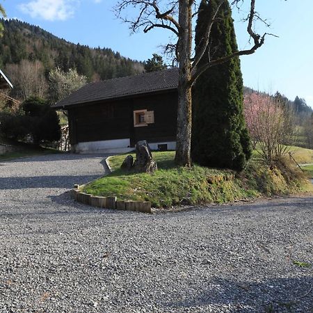 Sous Les Ecotagnes Villa Les Villards-sur-Thones Exterior photo