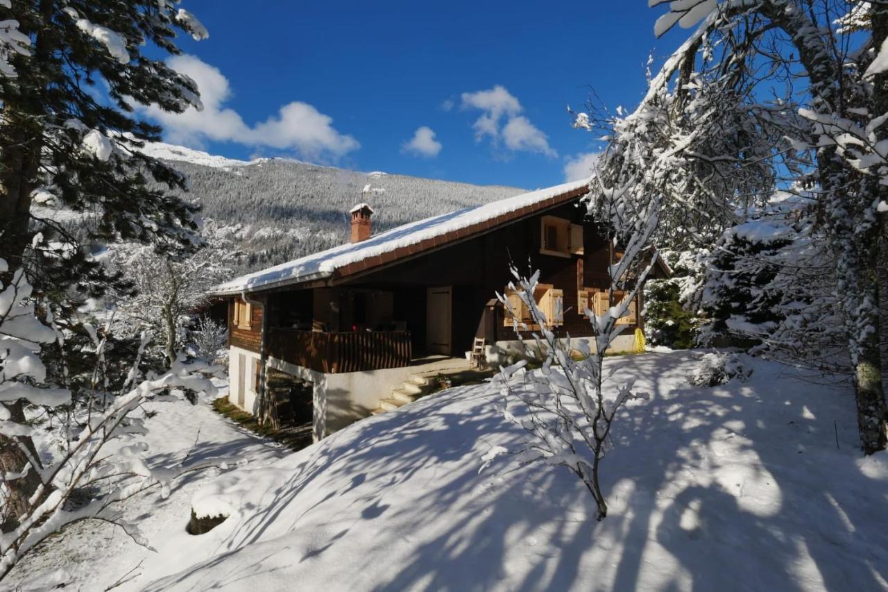 Sous Les Ecotagnes Villa Les Villards-sur-Thones Exterior photo