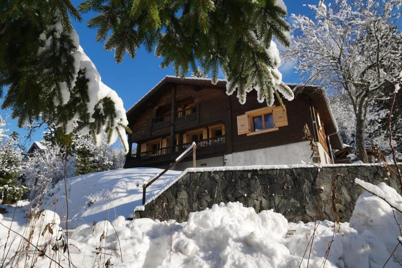 Sous Les Ecotagnes Villa Les Villards-sur-Thones Exterior photo