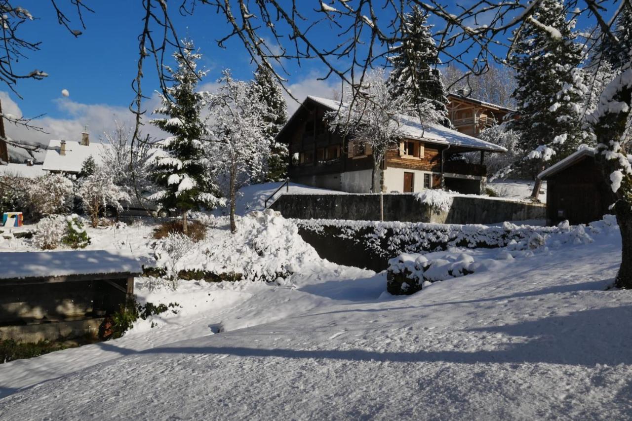 Sous Les Ecotagnes Villa Les Villards-sur-Thones Exterior photo