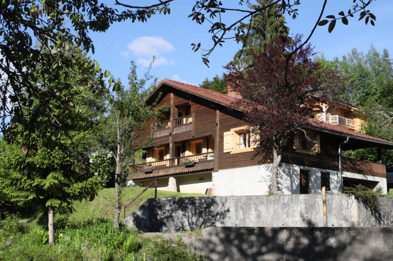 Sous Les Ecotagnes Villa Les Villards-sur-Thones Exterior photo