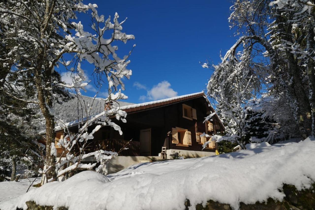 Sous Les Ecotagnes Villa Les Villards-sur-Thones Exterior photo