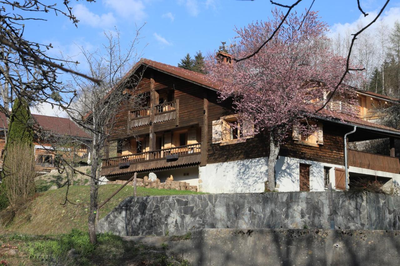 Sous Les Ecotagnes Villa Les Villards-sur-Thones Exterior photo